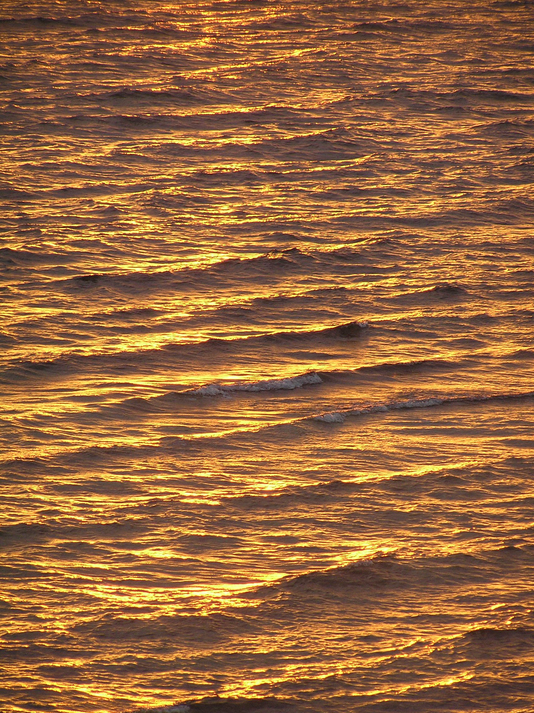 Photography by virtualstrauss for DesignCrowd (Community Contests) | Design #9089035