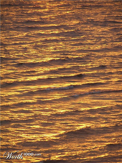 Photography by virtualstrauss