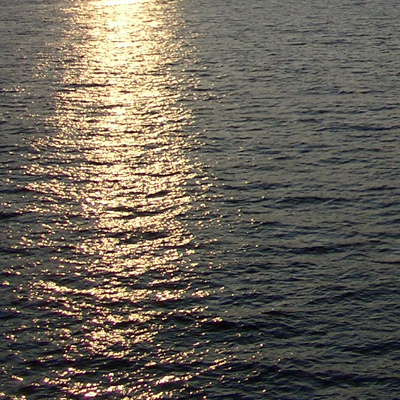 Photography by MagnusVS for DesignCrowd (Community Contests) | Design #9089053