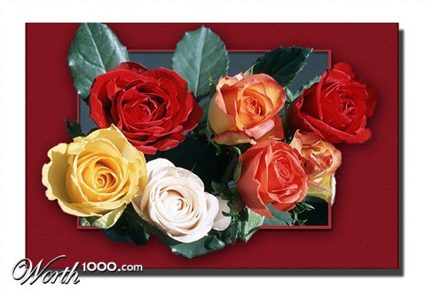 Photoshop Design by morticia3uk