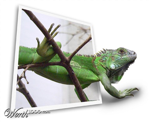 Photoshop Design by AniaBo