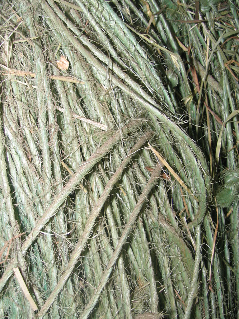 Photography by Djinny for DesignCrowd (Community Contests) | Design #9089050