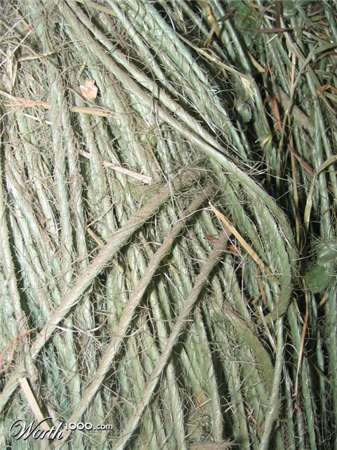 Photography by Djinny