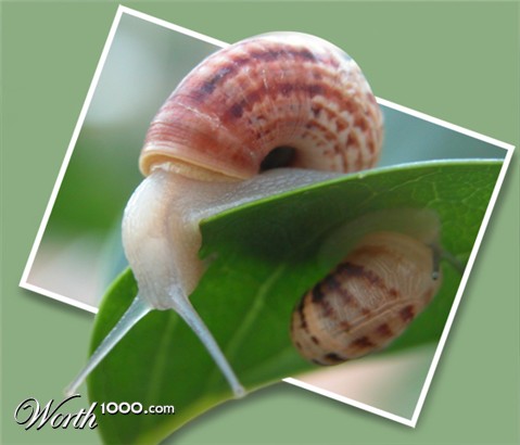 Photoshop Design by ddost001