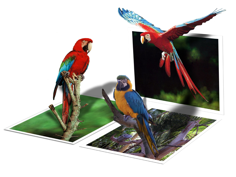 Diseño de Photoshop por chairforce para DesignCrowd (Community Contests) | Diseño #9091366