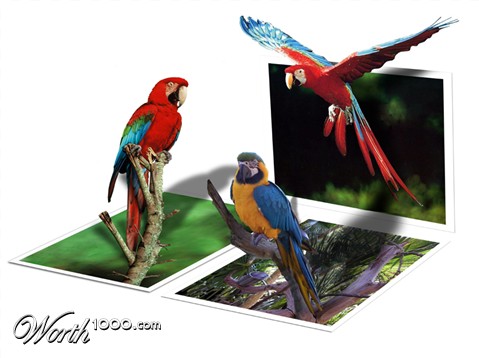 Photoshop Design by chairforce