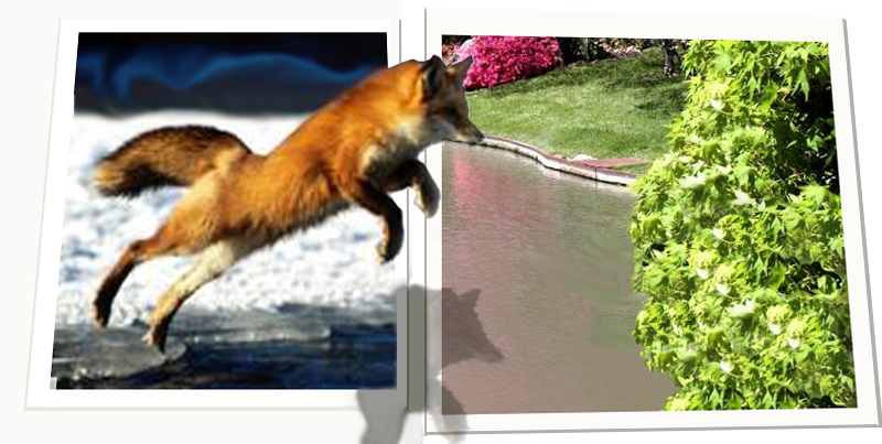 Diseño de Photoshop por Karizzzzmaaa para DesignCrowd (Community Contests) | Diseño #9091391
