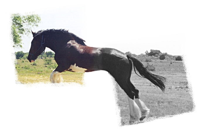 Photoshop-Design von MontyBurns für DesignCrowd (Community Contests) | Design #9091402