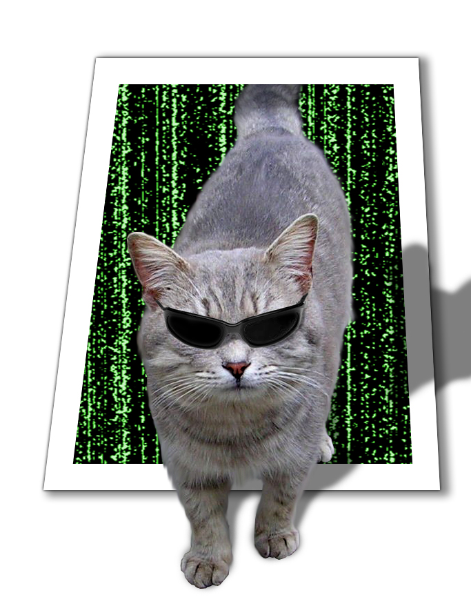 Diseño de Photoshop por MetalMan para DesignCrowd (Community Contests) | Diseño #9084259