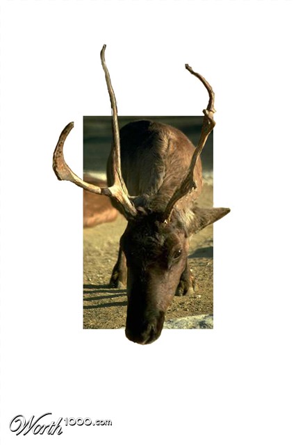 Photoshop Design by unnijeevan20