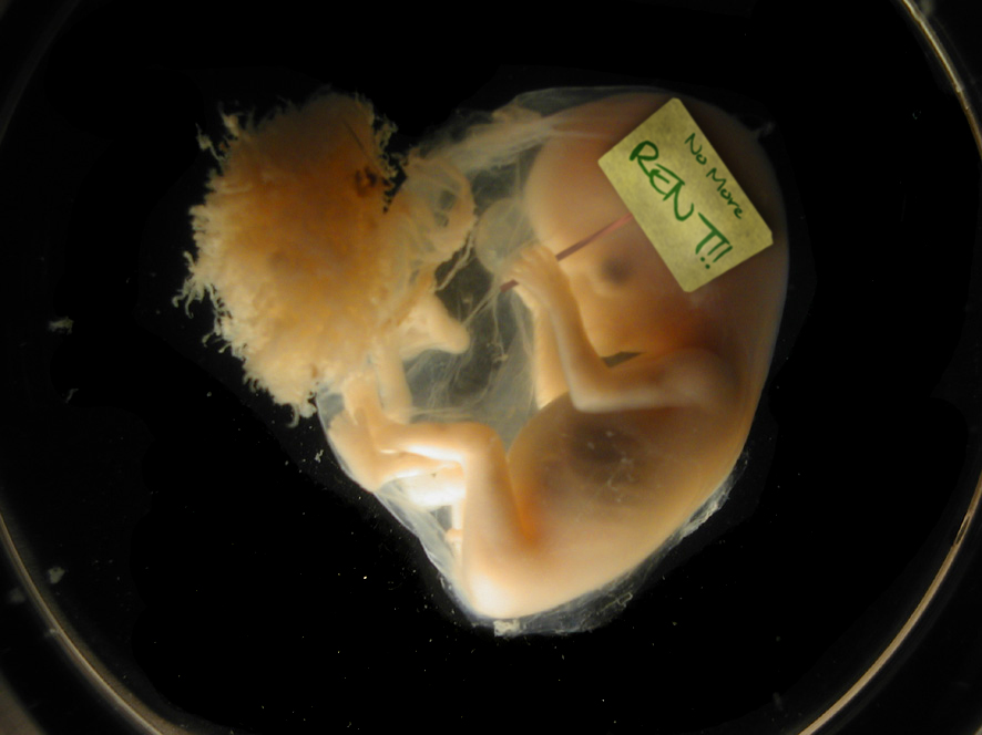 Photoshop-Design von schipper für DesignCrowd (Community Contests) | Design #9090759