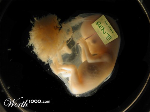 Photoshop Design by schipper