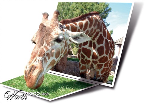 Photoshop Design by ulahts