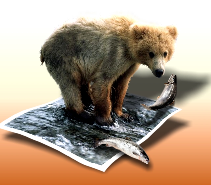 Photoshop Design by LokSenAn for DesignCrowd (Community Contests) | Design #9084376