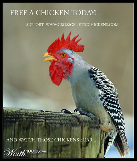 Photoshop Design by brachionus