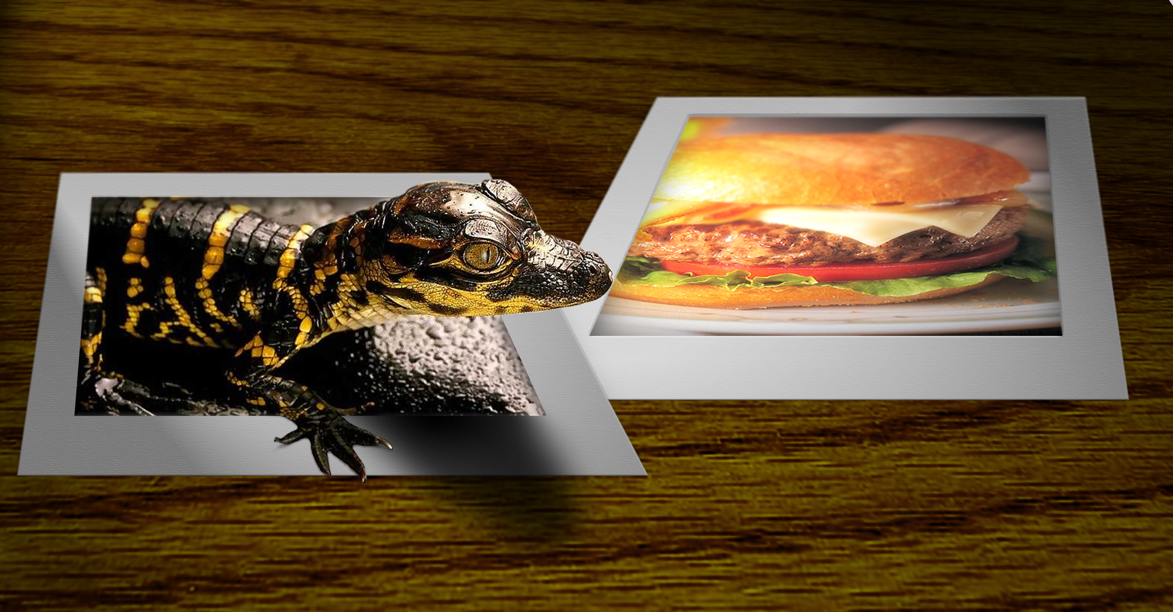 Photoshop Design by illuminator for DesignCrowd (Community Contests) | Design #9091362