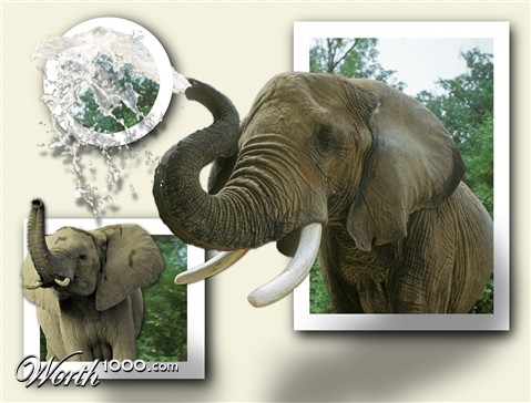 Photoshop Design by connied