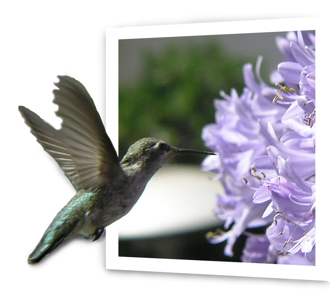 Design Photoshop par perria pour DesignCrowd (Community Contests) | Design #9084329