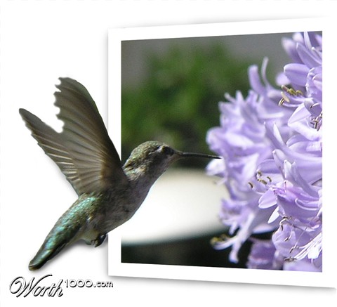 Photoshop Design by perria