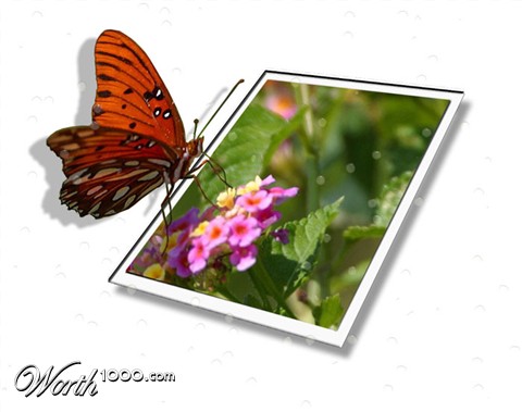 Photoshop Design by joannaj