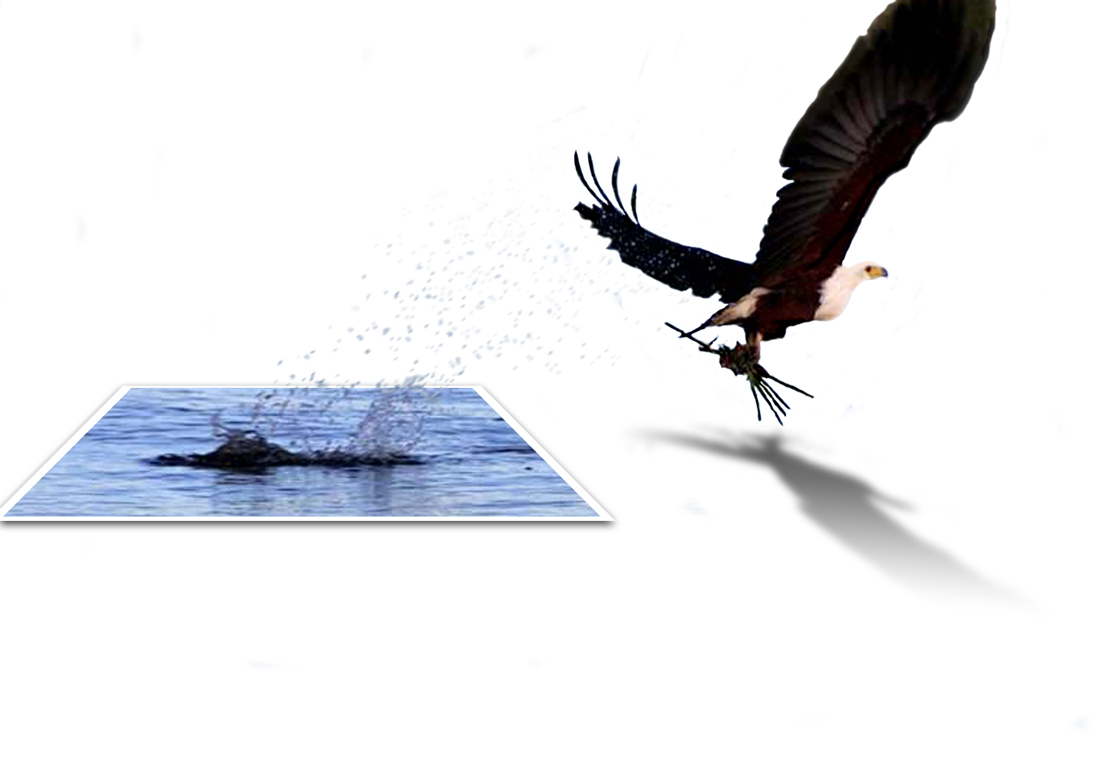 Photoshop-Design von Chazcarp für DesignCrowd (Community Contests) | Design #9084493