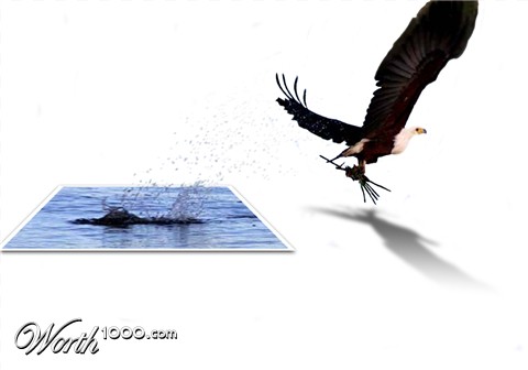 Photoshop Design by Chazcarp