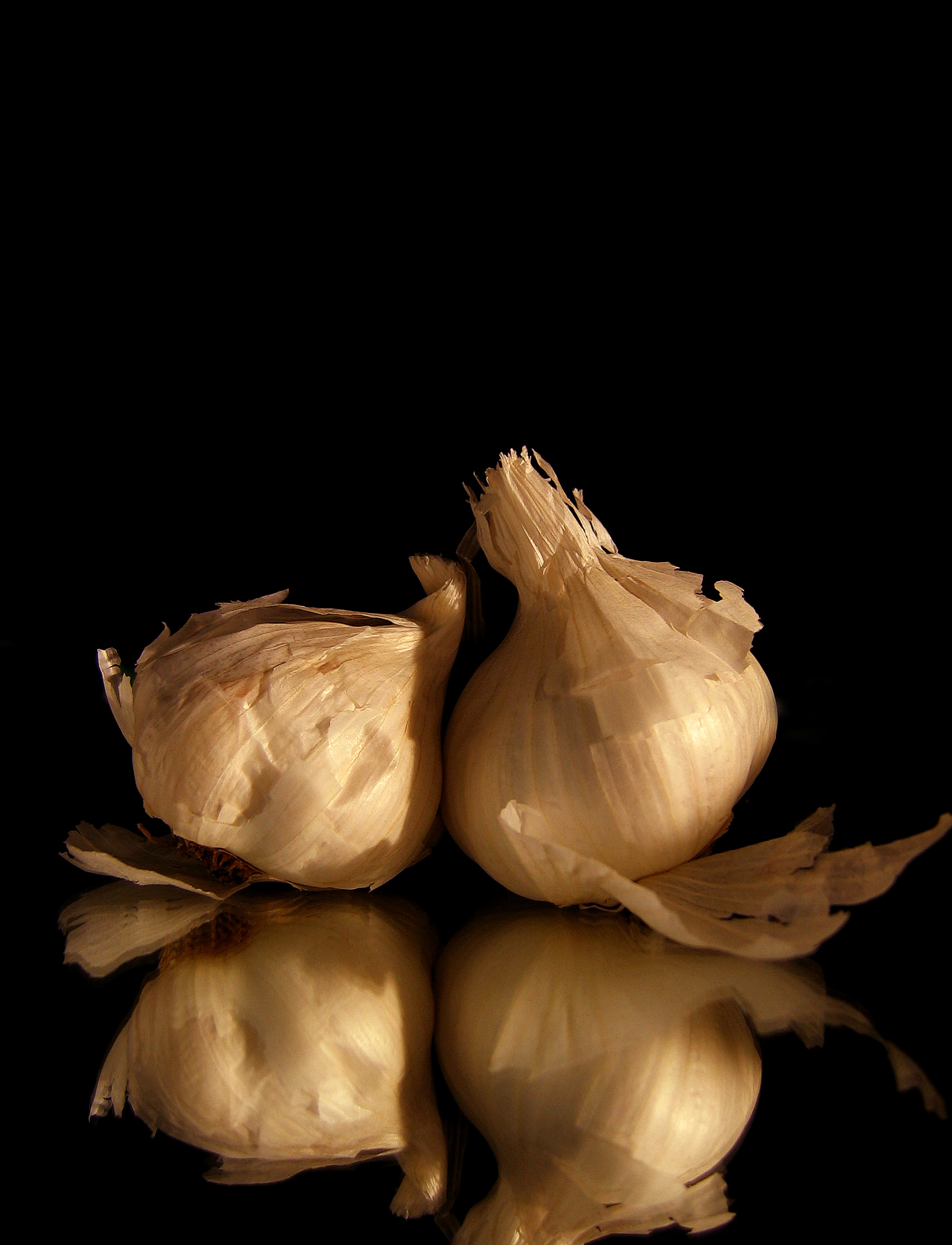 Photography by WiltedEuphoria for DesignCrowd (Community Contests) | Design #9091286