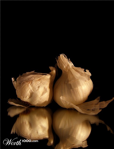 Photography by WiltedEuphoria