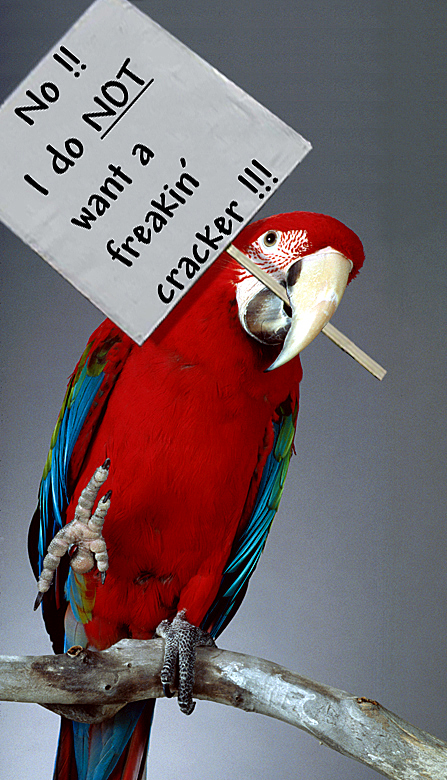 Photoshop Design by StrangeWorld for DesignCrowd (Community Contests) | Design #9090819