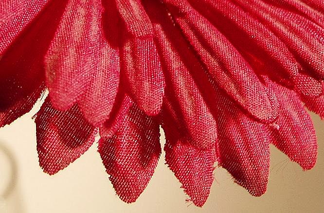 Photography by dylder for DesignCrowd (Community Contests) | Design #9089122