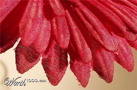 Photography by dylder