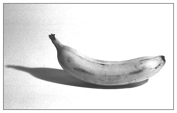 Photography by dylder for DesignCrowd (Community Contests) | Design #9091356