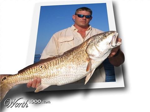 Photoshop Design by Kal2004