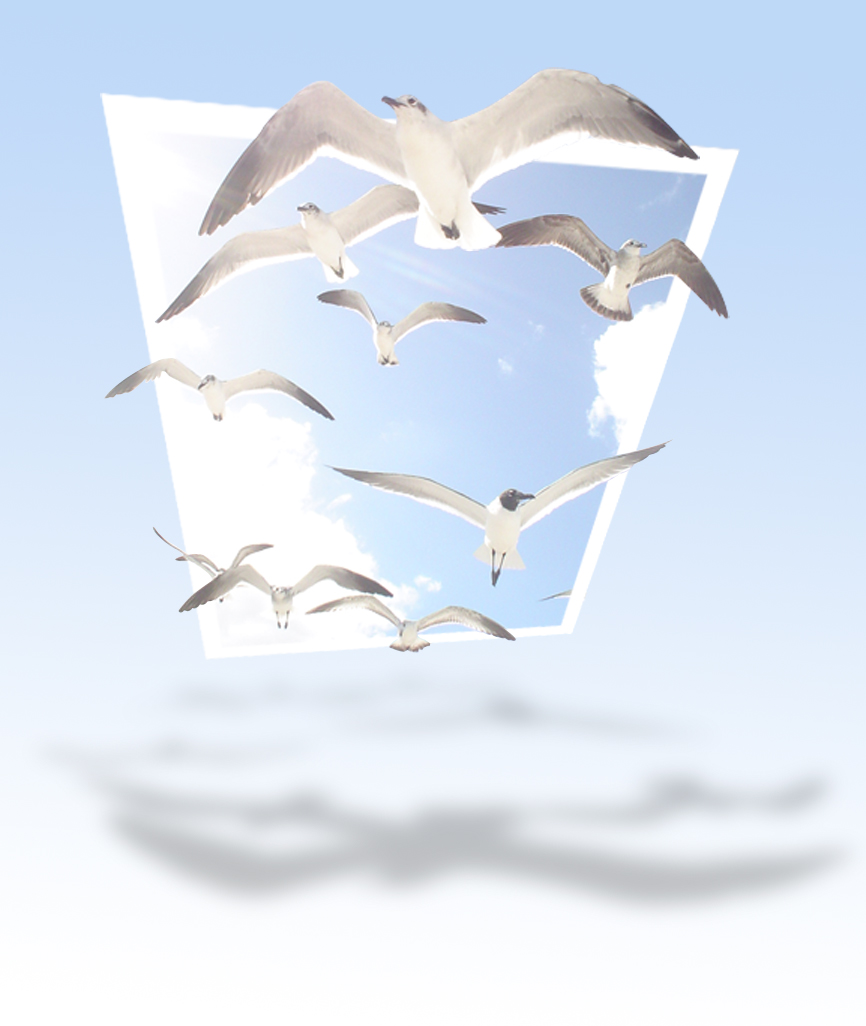 Photoshop Design by tahooy for DesignCrowd (Community Contests) | Design #9084538