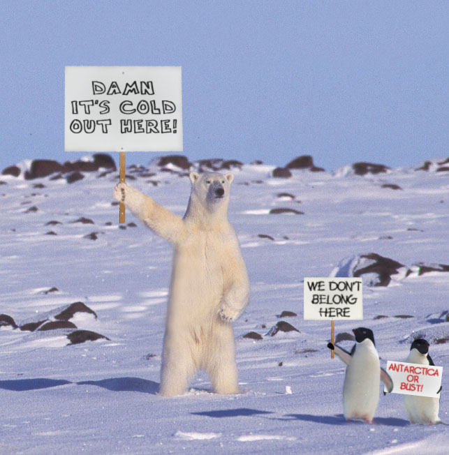 Photoshop Design by godzillatemple for DesignCrowd (Community Contests) | Design #9090801