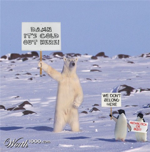 Photoshop Design by godzillatemple