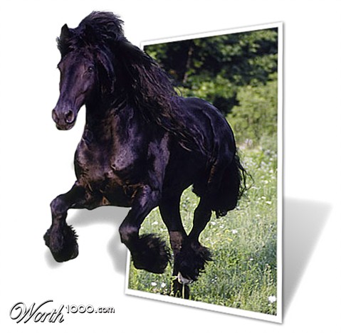 Photoshop Design by lilhorseebabee