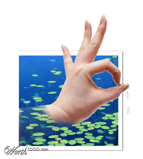 Photoshop Design by toadclipper