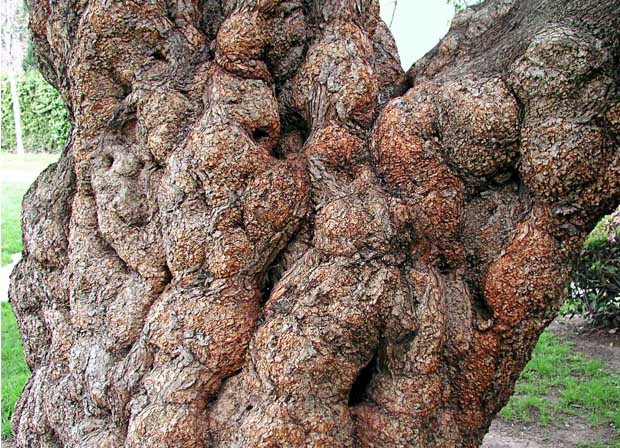 Photography by UPUPUP for DesignCrowd (Community Contests) | Design #9089097