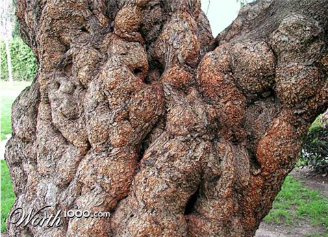 Photography by UPUPUP