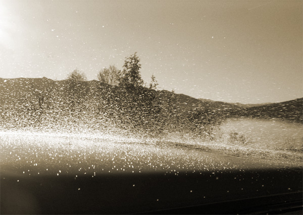 Photography by Lillenala for DesignCrowd (Community Contests) | Design #9070368