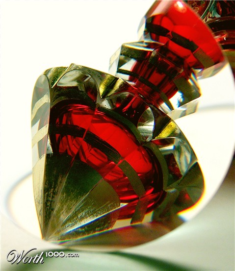 Photography by Xported