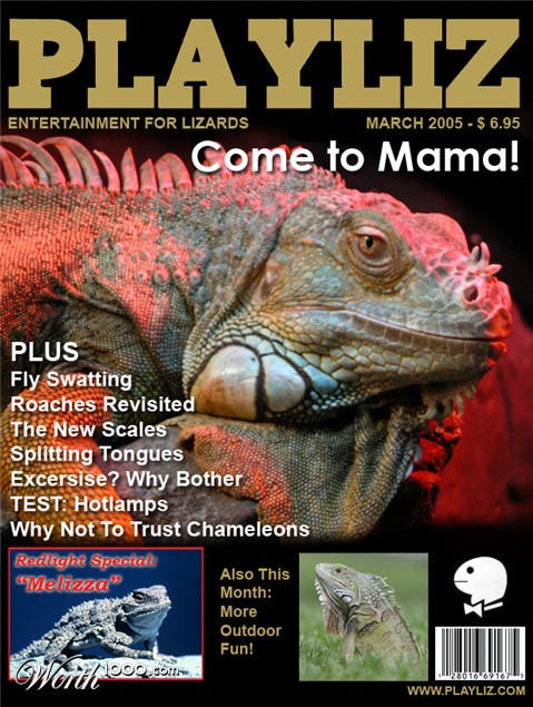 Photoshop Design by ddost001