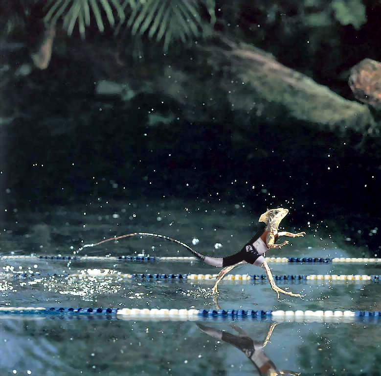 Photoshop Design by CheckMinus for DesignCrowd (Community Contests) | Design #9091818