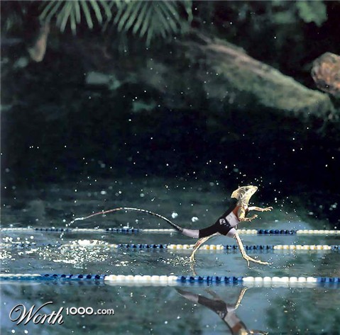 Photoshop Design by CheckMinus