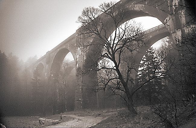 Fotografía por AndrzejW para DesignCrowd (Community Contests) | Diseño #9070376