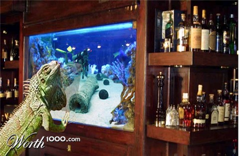 Photoshop Design by JoeyGio