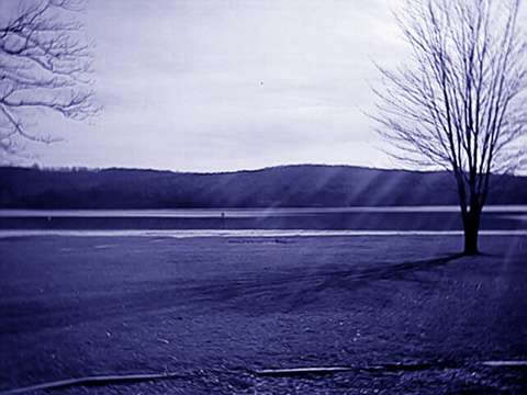 Photography by terrylab5 for DesignCrowd (Community Contests) | Design #9070405