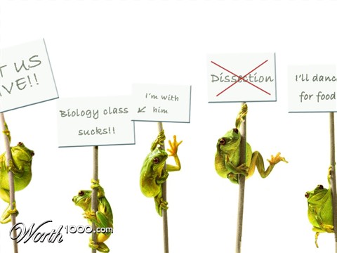 Photoshop Design by NataliaT