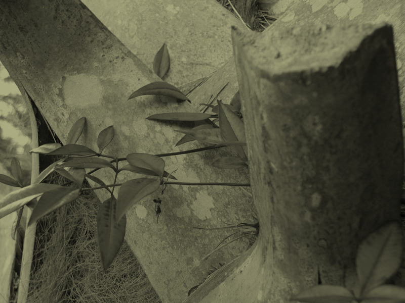 Photographie par Scuzem pour DesignCrowd (Community Contests) | Design #9070408